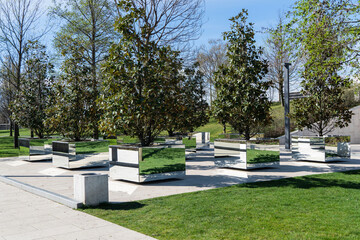 Evergreen southern magnolia (Magnolia Grandiflora) grows in mirrored containers in city park in Krasnodar. Public landscape "Galician Park" for recreation and walks. Sunny spring 2024