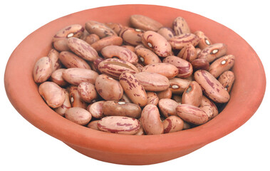 Pinto bean or speckled bean