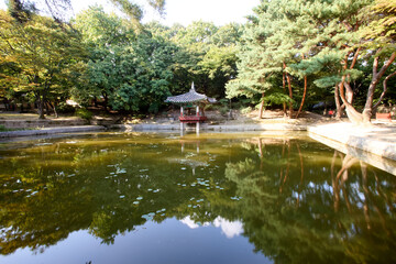 Changdeokgung Palace and Secret Garden (Huwon), UNESCO Heritage Site, Seoul, Korea, Geunjeongjeon Hall in Gyeongbokgung Palace,  South Korea, 한국 서울 경복궁 근정전 정면 사진 서울 창덕궁 인정전과 후원 (비원) 유네스코 세계문화유산