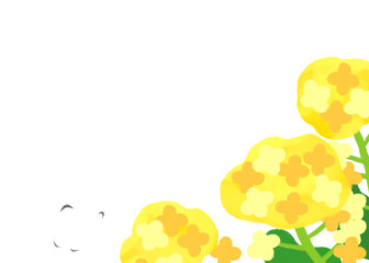 かわいい菜の花の背景素材