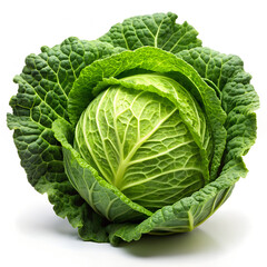 cabbage isolated on white background