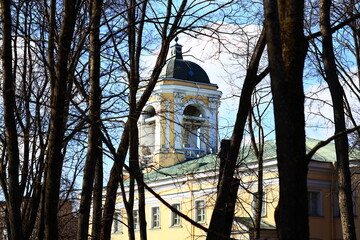 A clock tower stands tall in a dense forest, surrounded by trees and foliage.
