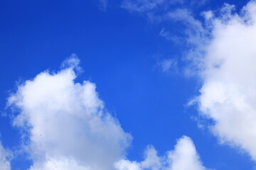 White clouds in a blue bright sky.