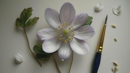 a blue flower on a white background