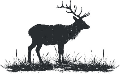 Silhouette of a deer with antlers standing in grass, showcasing nature and wildlife themes.