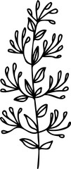 Flower botanical hand drawing simple element