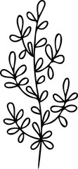 Flower botanical hand drawing simple element