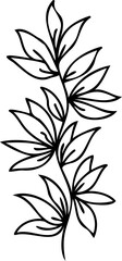 Flower botanical hand drawing simple element