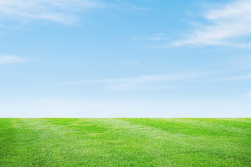 Fototapeta premium Beautiful Grass Hill with Clear Sky Background