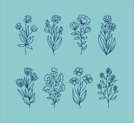 Flower botanical hand drawing simple element set
