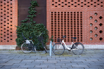 Bicycle against brick wall with ivy in Ørestad, Copenhagen. Urban composition mixing organic and geometric textures, ideal for conceptual or sustainable city themes.