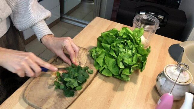 Chopping Fresh Coriander and Lettuce for a Healthy Raw Vegan Meal