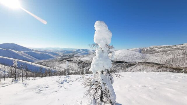 A breathtaking drone journey through a pristine winter wonderland reveals snow-covered peaks and serene white valleys under a clear blue sky. Nature's tranquility is on full display.