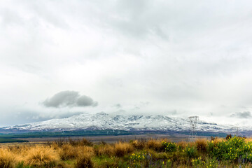 Snowy Mountains and Tussock Grass in Desert Road, New Zealand