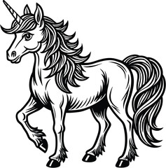 vector unicorn illustration