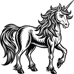 vector unicorn illustration
