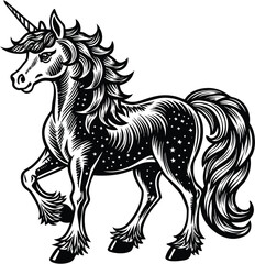 vector unicorn illustration