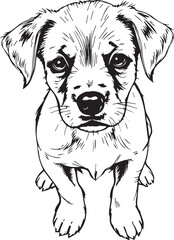 Cute puppy. Hand drawn vector illustration
