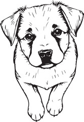 Cute puppy. Hand drawn vector illustration