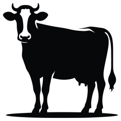 black and white cow