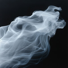 Fototapeta premium Abstract wisp of white smoke on a black background.