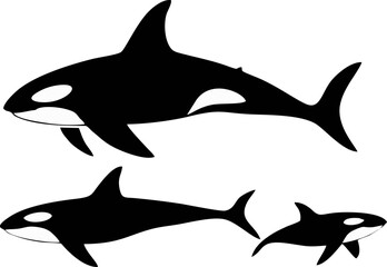 whale set illustration sea day