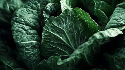 Dramatic close up of a vibrant green cabbage leaf featuring a modern cinematic lighting setup that creates a moody atmospheric ambiance