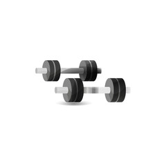 colored metal fitness vector icons minimalist athletic vector icons for fitness & gym equipment  weight  barbell dumbbell
