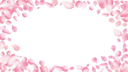 Sakura petal spring blossom on white banner. Pink rose composition. Flower flying background. Beauty Spa product frame with gorgeous rose petal greeting card design.