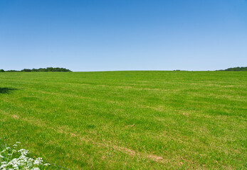 Fototapeta premium A scenic countryside view in the Eifel, Germany, featuring lush green meadows, a wooden fence, and a winding country road under a bright summer sky.