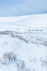 冬の鳥取砂丘の雪景色 鳥取県 鳥取砂丘