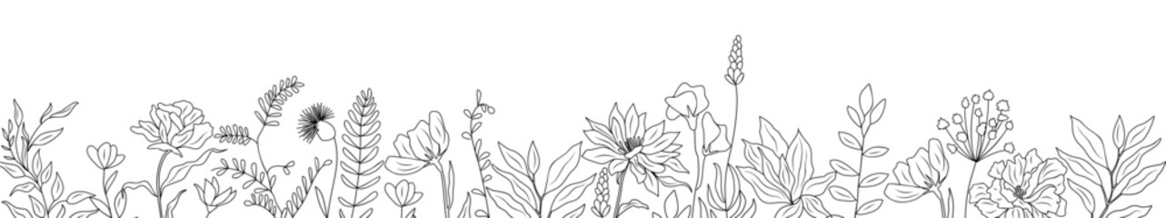 Wild blooming meadow flowers and herbs border. Horizontal banner, floral overlay backdrop. Botanical monochrome ink sketch style hand drawn vector illustration isolated 