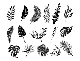 Set of black silhouettes of tropical leaves vector isolated