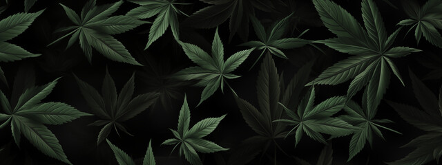 Dark Cannabis Leaves on Black Background