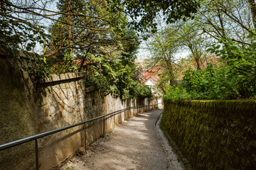 A charming alley with a stone wall, lush greenery, and trees in the background