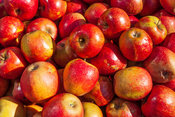 Frische rote Äpfel auf einem Marktstand, Deutschland