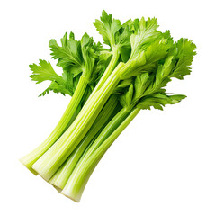 Fresh celery stalk, crisp and green, Isolated on Transparent Background