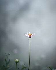 beautiful natural floral background, different kind of floral, created by generative ai
