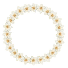 Circle wreath with white flower with copy space in vintage style. Hand drawn watercolor decorative festive design. Graphic drawing ideal for Easter card template. Perfect for spring holiday season.