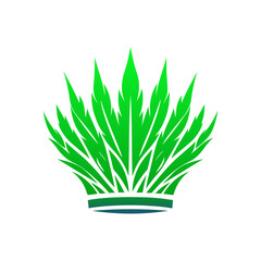 Green grass growing in a pot on a white background