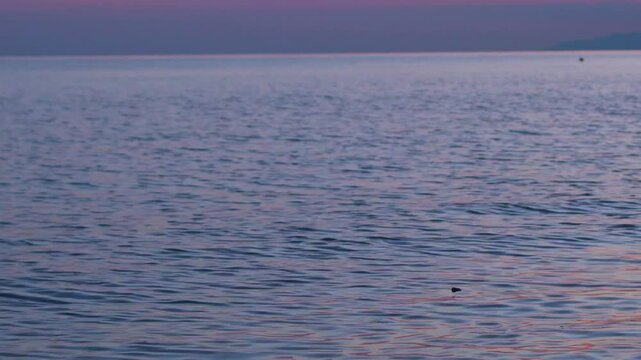 Beautiful Colorful Sea Water and Lilac Purple Sky, Waves, Ripples, Reflections, Glare, Beach. Colored Sky at Sunrise over the Sea Bay. Beauty, Relax, Vacation, Planet, Sunset Ocean and Sky Background.
