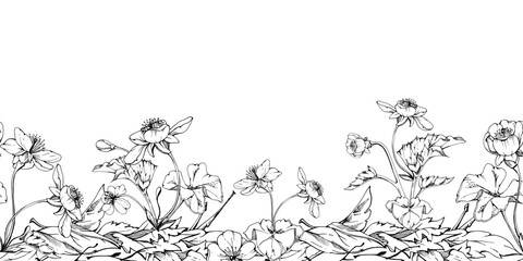 Early spring flowers in dry leaves, white forest cloudberry anemone primrose ephemera, hand drawn vector ink. Seamless banner illustration isolated on white, for wedding, florist shop, scrapbooking