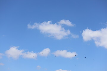 A flock of black birds soaring across a cloudy blue sky