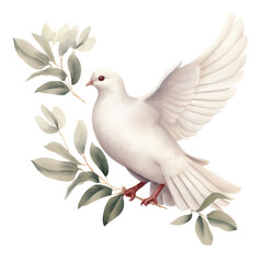 Fototapeta premium Watercolor White Dove Clipart in Boho Aesthetic, Isolated on Transparent Background
