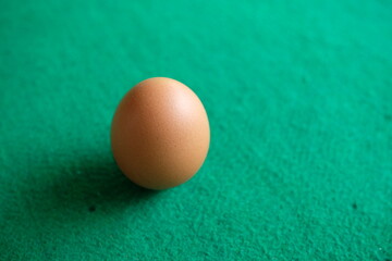 Photo of a chicken egg with a green background