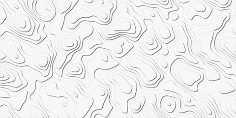 White topography topology vector white background fresh contour map texture backdrop digital print texture terrain lines and strokes on a fresh whiteTopographic map patterns, topography line map. Vint