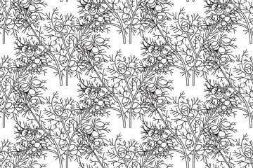 Line art botanical seamless floral pattern with chamomile vector illustration. Black outline repeating daisy plants in white background. Graphic design for Fashion Cover Textile Print Fabric Coloring