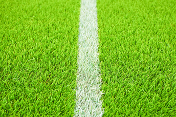 Fototapeta premium Close-up of fresh green grass with white line on sports field