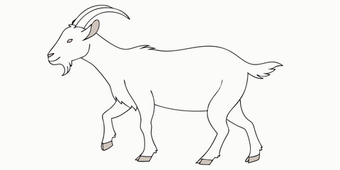 EID UL ADHA MINIMALISTIC VECTOR ILLUSTRATION OF A GOAT (BAKRA) STANDING STRAIGHT , WHITE & SILVER COLOR LINE ART PNG 