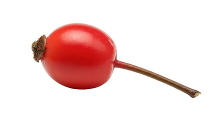 Isolated Rose Hip